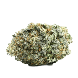 Acapulco Gold