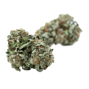 Afghan Kush