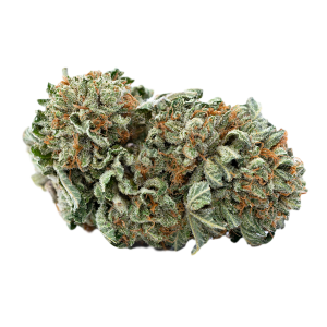 Afghan Kush