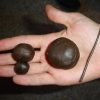Moroccan Hash