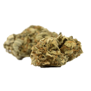 Ace Killer OG