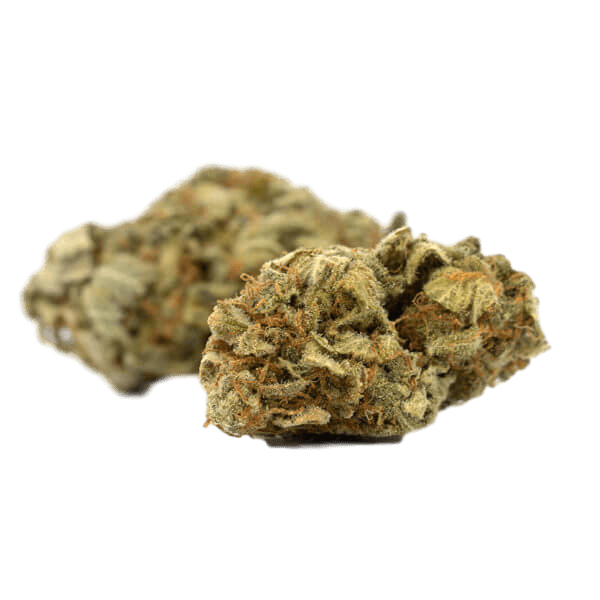 White-Widow-new2-600x600-600x600_clipped_rev_1 Ace Killer OG