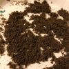 Bubble Hash