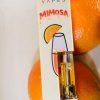 Mimosa