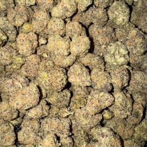 Girl Scout cookies