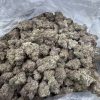 Dutch Treat
