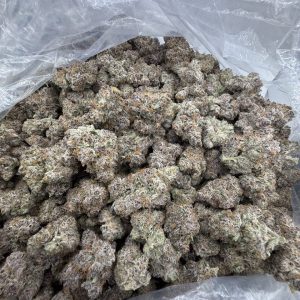 Dutch Treat