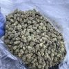 God’s Green Crack