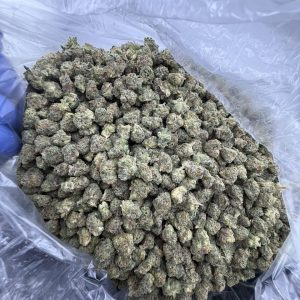 God’s Green Crack