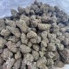G13 Haze