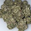 Animal Cookies