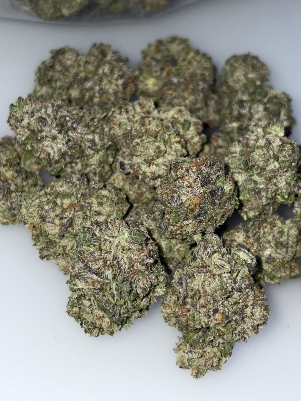Animal Cookies Animal Cookies