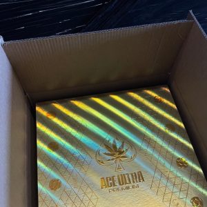 ACES ULTRA WORLD CUP